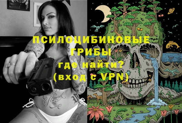 ALPHA-PVP Бородино