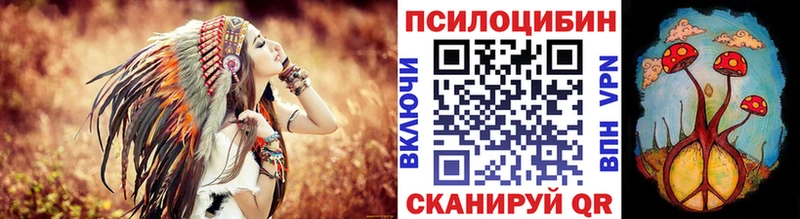 ссылка на мегу рабочий сайт  купить наркотик  Астрахань  Галлюциногенные грибы Psilocybe 